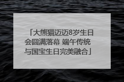大熊猫迈迈8岁生日会圆满落幕 端午传统与国宝生日完美融合