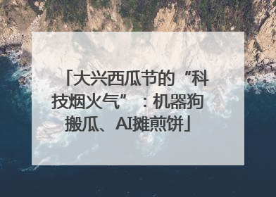大兴西瓜节的“科技烟火气”：机器狗搬瓜、AI摊煎饼