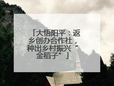 大悟阳平：返乡创办合作社，种出乡村振兴“金稻子”