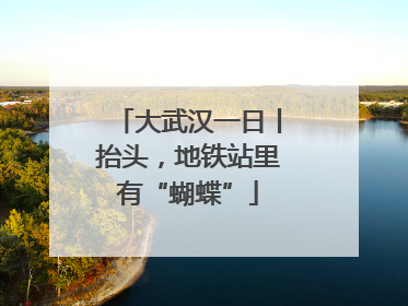 大武汉一日丨抬头，地铁站里有“蝴蝶”