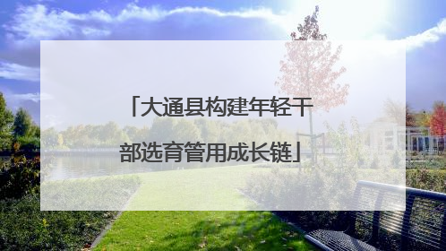 大通县构建年轻干部选育管用成长链
