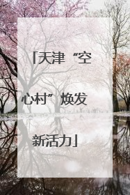 天津“空心村”焕发新活力