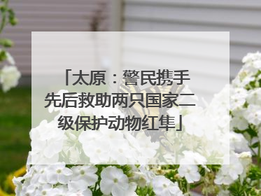 太原：警民携手 先后救助两只国家二级保护动物红隼