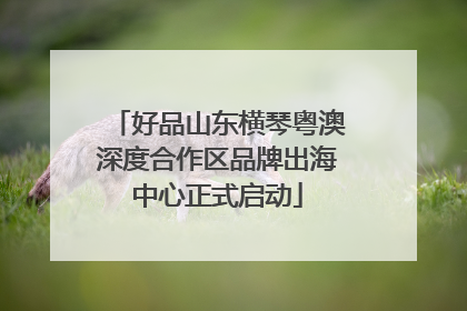 好品山东横琴粤澳深度合作区品牌出海中心正式启动
