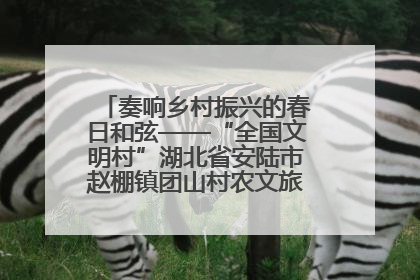 奏响乡村振兴的春日和弦——“全国文明村”湖北省安陆市赵棚镇团山村农文旅融合发展见闻