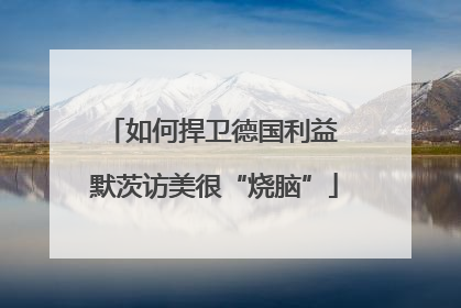 如何捍卫德国利益 默茨访美很“烧脑”