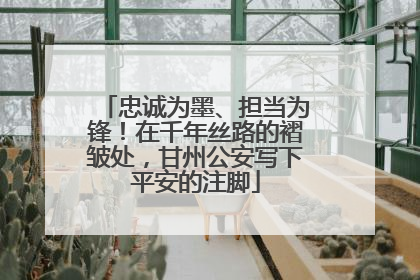 忠诚为墨、担当为锋！在千年丝路的褶皱处，甘州公安写下平安的注脚