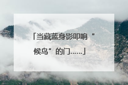 当藏蓝身影叩响“候鸟”的门……