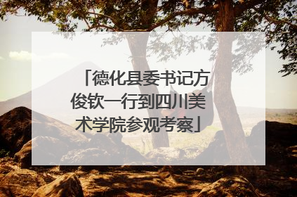 德化县委书记方俊钦一行到四川美术学院参观考察