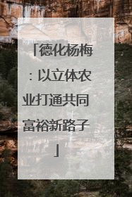 德化杨梅：以立体农业打通共同富裕新路子