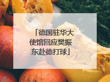 德国驻华大使馆回应樊振东赴德打球