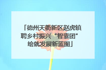 德州天衢新区赵虎镇聘乡村振兴“智囊团” 绘就发展新蓝图