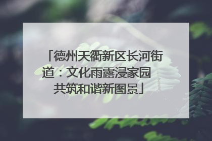 德州天衢新区长河街道：文化雨露浸家园 共筑和谐新图景