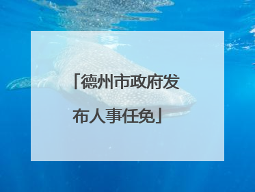 德州市政府发布人事任免