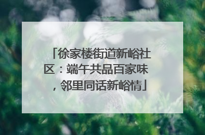 徐家楼街道新峪社区：端午共品百家味，邻里同话新峪情