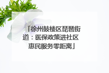 徐州鼓楼区琵琶街道：医保政策进社区 惠民服务零距离