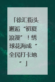 徐汇街头邂逅“初夏浪漫”！绣球花海成“全民打卡地”