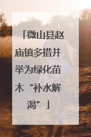 微山县赵庙镇多措并举为绿化苗木“补水解渴”