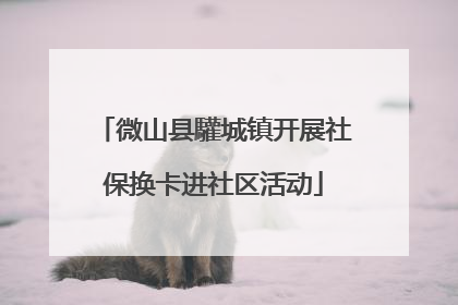 微山县驩城镇开展社保换卡进社区活动