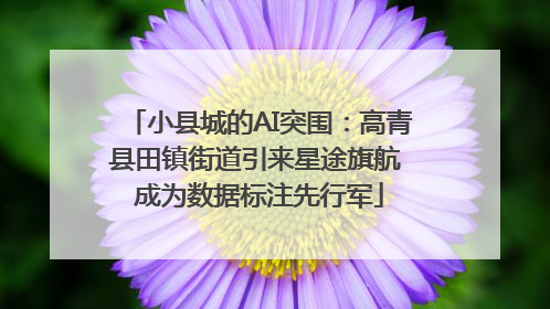 小县城的AI突围：高青县田镇街道引来星途旗航 成为数据标注先行军