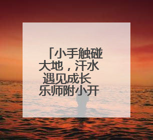 小手触碰大地，汗水遇见成长 乐师附小开展劳动基地实践课程