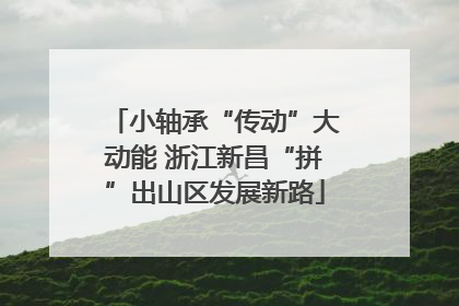 小轴承“传动”大动能 浙江新昌“拼”出山区发展新路