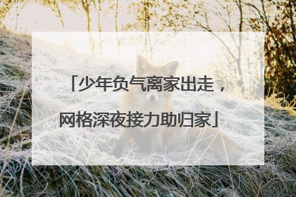 少年负气离家出走，网格深夜接力助归家