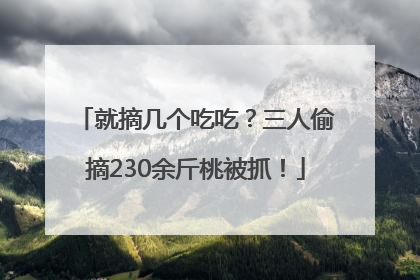 就摘几个吃吃？三人偷摘230余斤桃被抓！