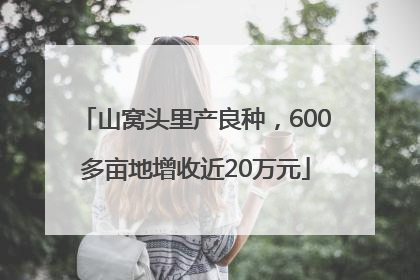山窝头里产良种，600多亩地增收近20万元