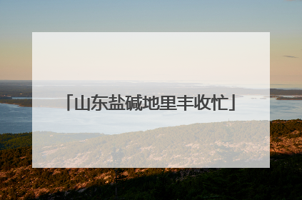 山东盐碱地里丰收忙