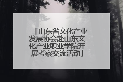山东省文化产业发展协会赴山东文化产业职业学院开展考察交流活动