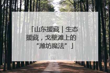 山东援藏｜生态援藏，戈壁滩上的“潍坊魔法”