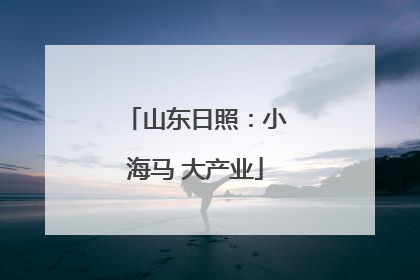 山东日照：小海马 大产业