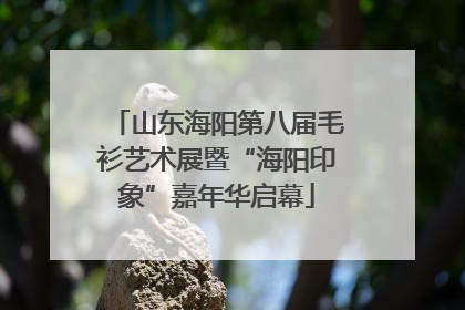山东海阳第八届毛衫艺术展暨“海阳印象”嘉年华启幕