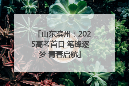 山东滨州：2025高考首日 笔锋逐梦 青春启航