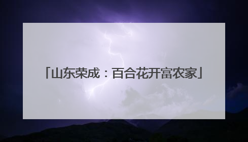 山东荣成：百合花开富农家
