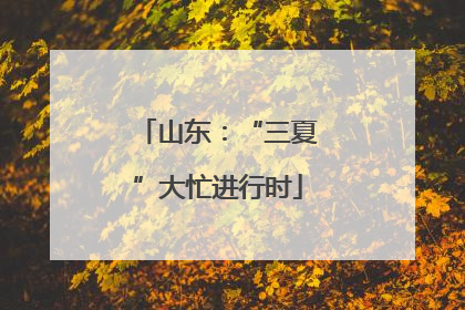 山东：“三夏”大忙进行时