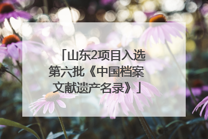 山东2项目入选第六批《中国档案文献遗产名录》