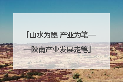 山水为墨 产业为笔——陕南产业发展走笔