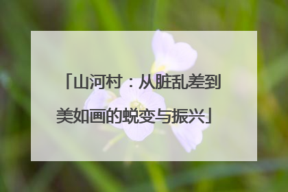 山河村：从脏乱差到美如画的蜕变与振兴