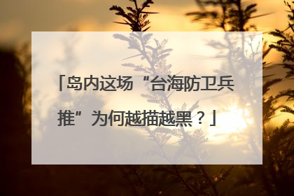 岛内这场“台海防卫兵推”为何越描越黑？