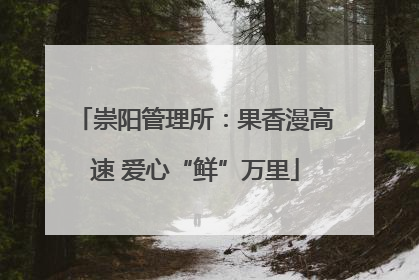 崇阳管理所：果香漫高速 爱心“鲜”万里