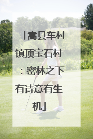嵩县车村镇顶宝石村：密林之下有诗意有生机