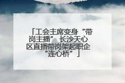 工会主席变身“带岗主播” 长沙天心区直播带岗架起职企“连心桥”