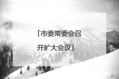 市委常委会召开扩大会议
