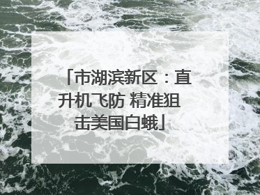 市湖滨新区：直升机飞防 精准狙击美国白蛾