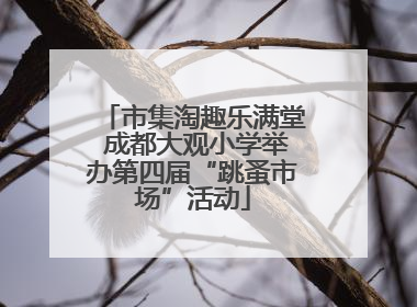 市集淘趣乐满堂 成都大观小学举办第四届“跳蚤市场”活动
