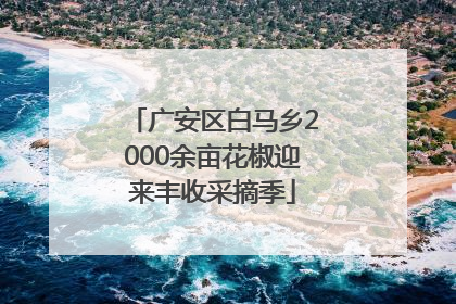 广安区白马乡2000余亩花椒迎来丰收采摘季