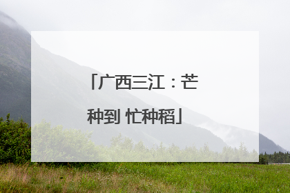 广西三江：芒种到 忙种稻