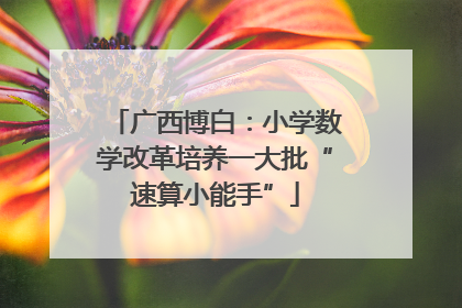 广西博白：小学数学改革培养一大批“速算小能手”